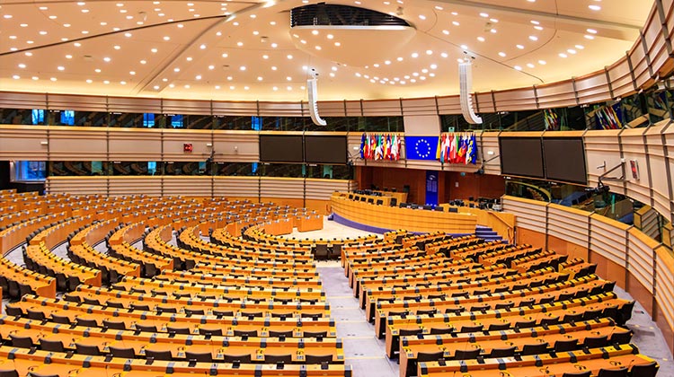 Immagine Approfondimento