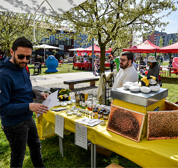 Biodiversità urbana